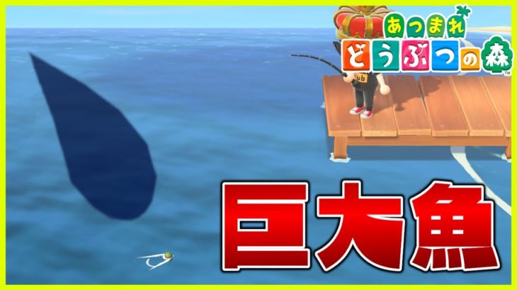 あつ森 巨大レア魚を簡単に釣る方法 あつまれどうぶつの森 Youtube ポケモン あつ森 ほのぼのゲーム特集