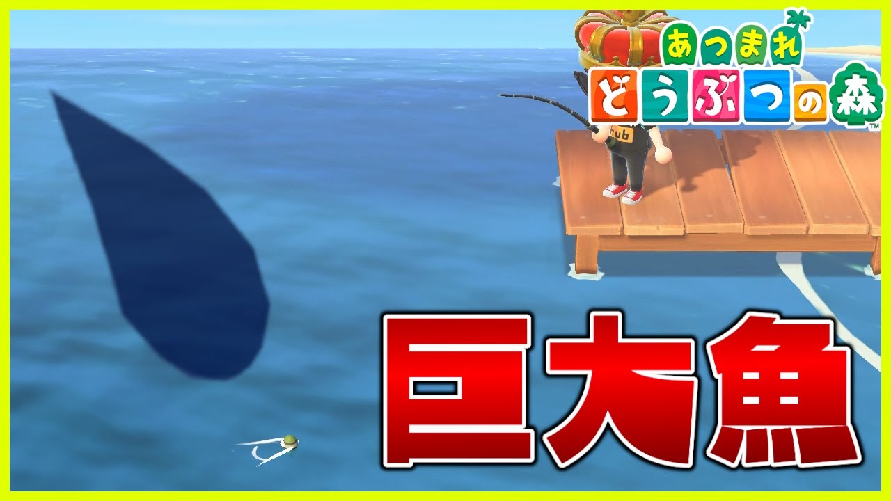 【あつ森】巨大レア魚を簡単に釣る方法【あつまれどうぶつの森】