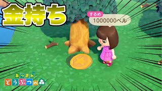 【あつ森】100万ベル落ちてるうううううう！？【あつまれどうぶつの森】