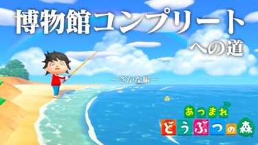 【生放送】あつまれどうぶつの森「博物館コンプリート」目指す配信〜さかな編〜