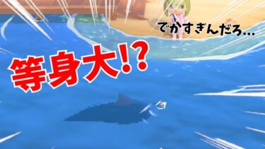 【あつ森】巨大魚影が現れた！？！？！？【あつまれどうぶつの森】【Animal Crossing】