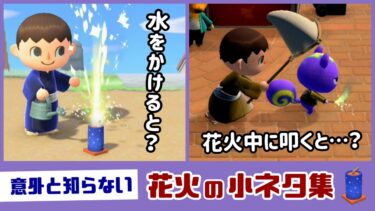 【あつ森】花火に水をかけると…？花火中の住民を叩くと…？意外と知らない「花火」に隠れた細かすぎる小ネタ集！【あつまれ どうぶつの森】@レウンGameTV