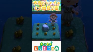 【あつ森】大当たりすぎるレア離島3選 #あつまれどうぶつの森 #どうぶつの森 #animalcrossing