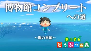 【生放送】あつまれどうぶつの森「博物館コンプリート」目指す配信〜海の幸編〜