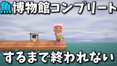 魚の博物館コンプリートするまで終われない配信【あつまれどうぶつの森】