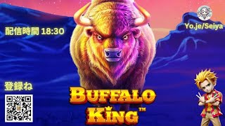 【Seiyaのライブ配信】BUFFALO KING（バッファローキング）🎰 Pragmatic Play（プラグマティック・プレイ）スロット 🎮